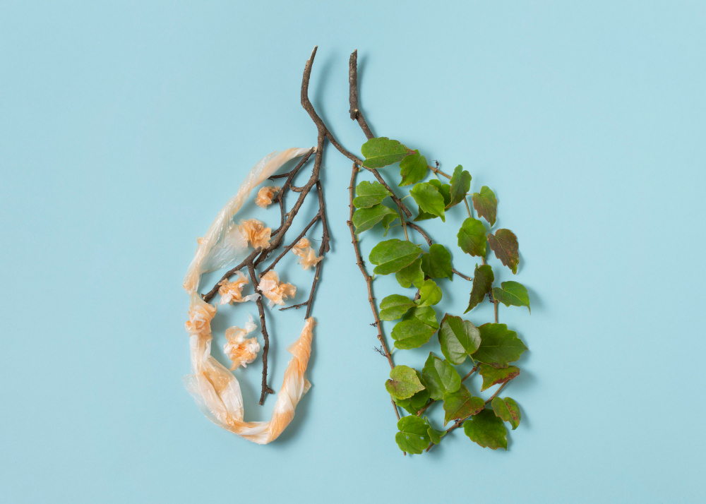 7 Makanan Pembersih Paru-Paru, Mudah Ditemukan!