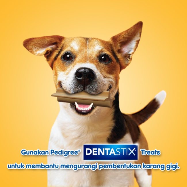 Pedigree Dentastix Value Pack Medium Dog Treats Snack Camilan Anjing 344gr - Image 4