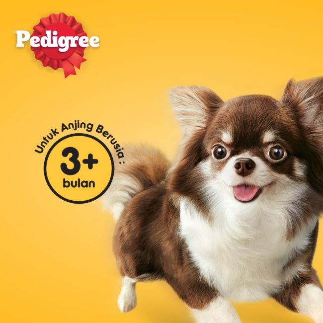 Pedigree Tasty Bites Dog Treats Snack Camilan Anjing 60gr - Image 4