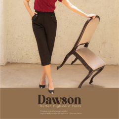 Geraldine Pleated Sheer Dress 184156-1