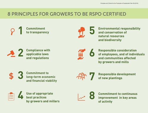 RSPO certified palm oil