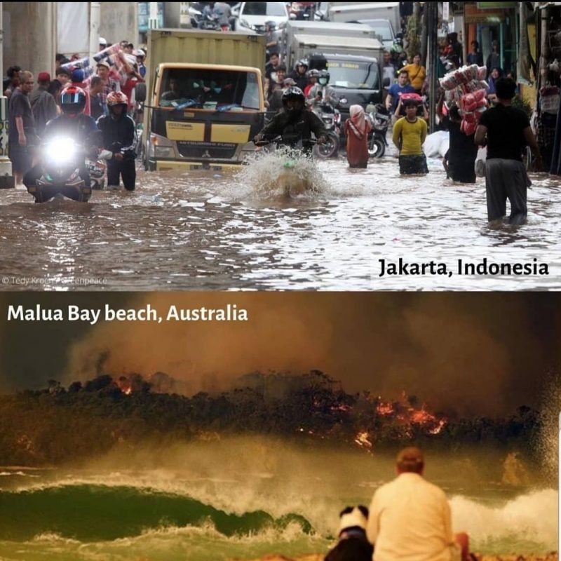 peduli krisis iklim