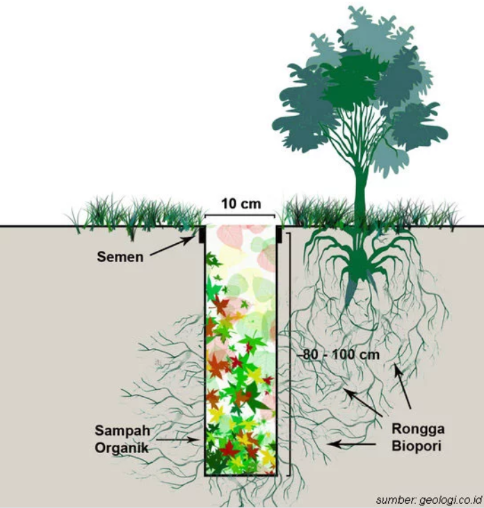 lubang biopori