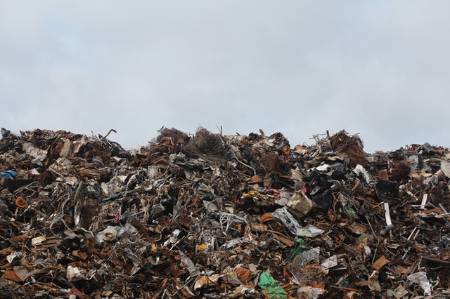 bahaya sampah organik