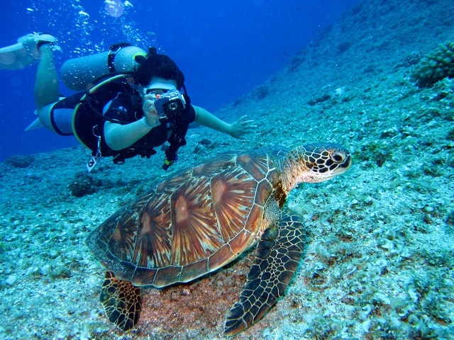 coral triangle day