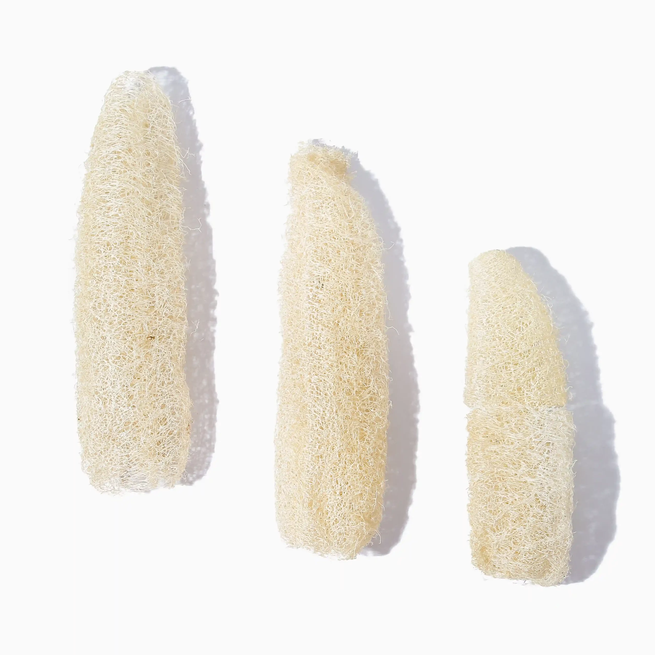 Loofah 2