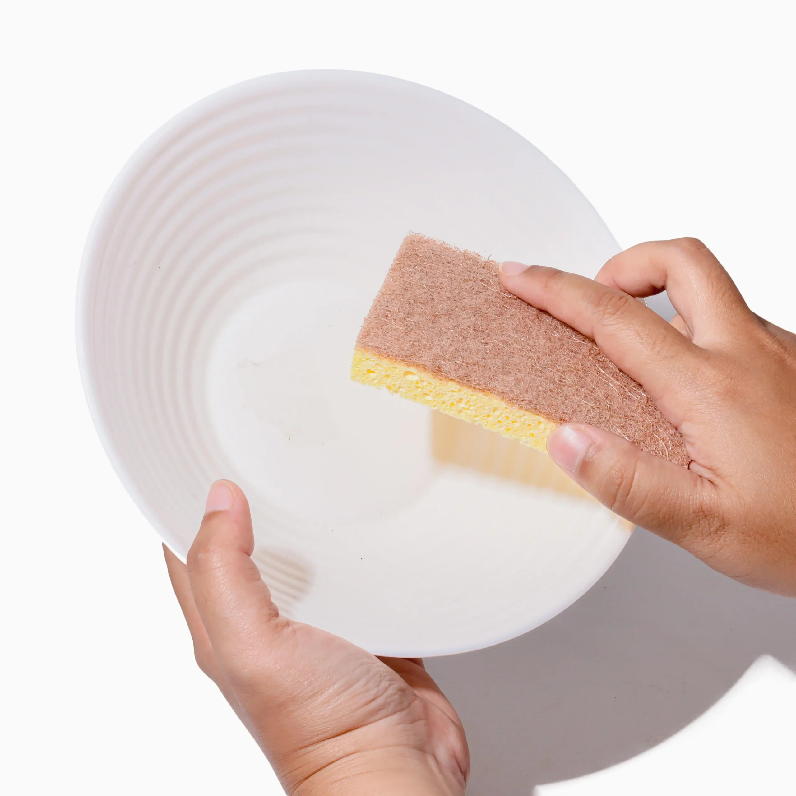 Natural Sponge 6 (1)