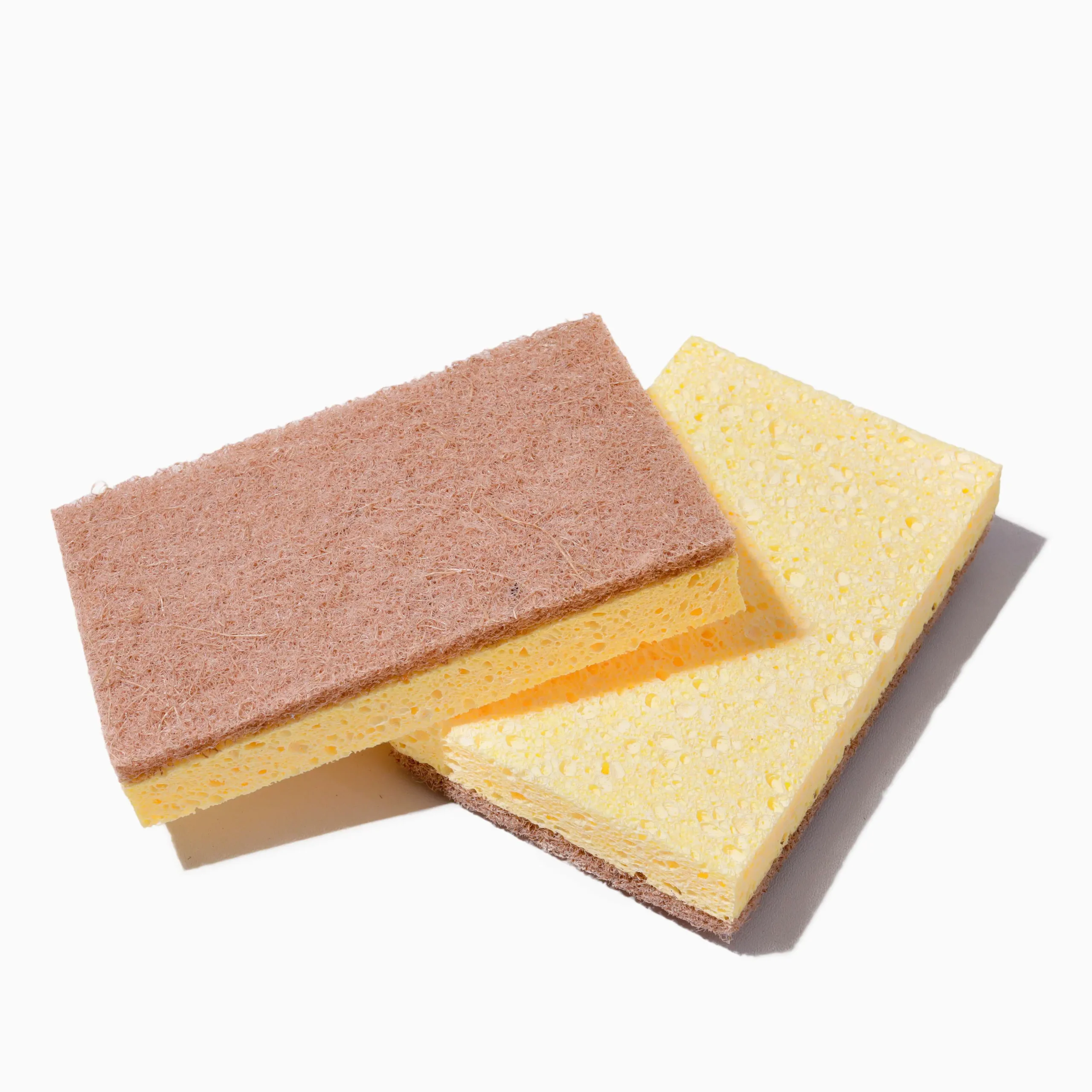 Natural Sponge 2 (1)